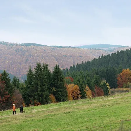 Charmante Am Thueringer Rennsteig דירה פראונוואלד