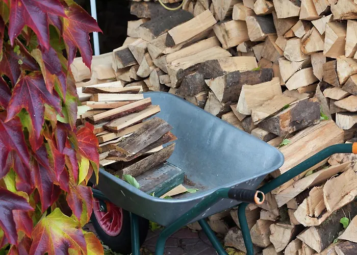 Charmante Am Thueringer Rennsteig *