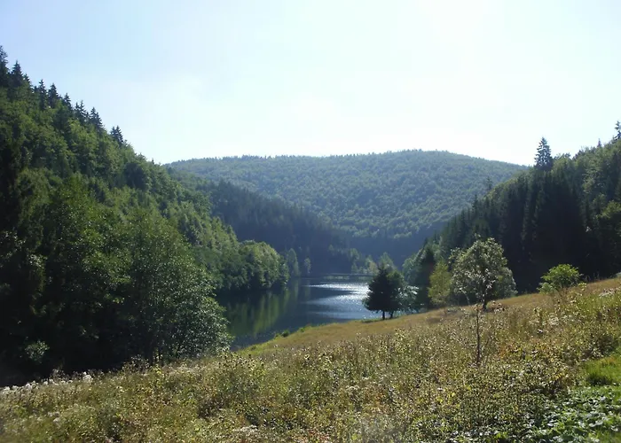 شقة Charmante Am Thueringer Rennsteig فراونوالد