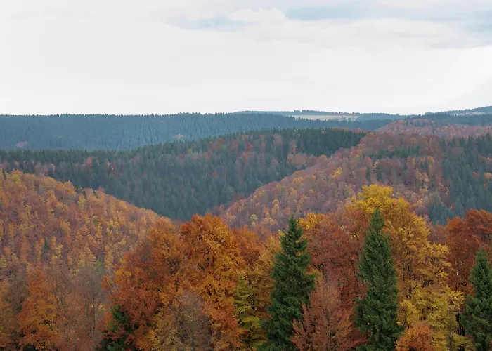 Charmante Am Thueringer Rennsteig